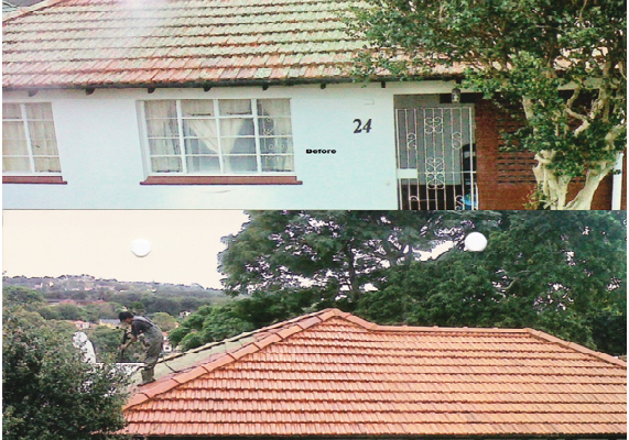 Roof Washing Before & After